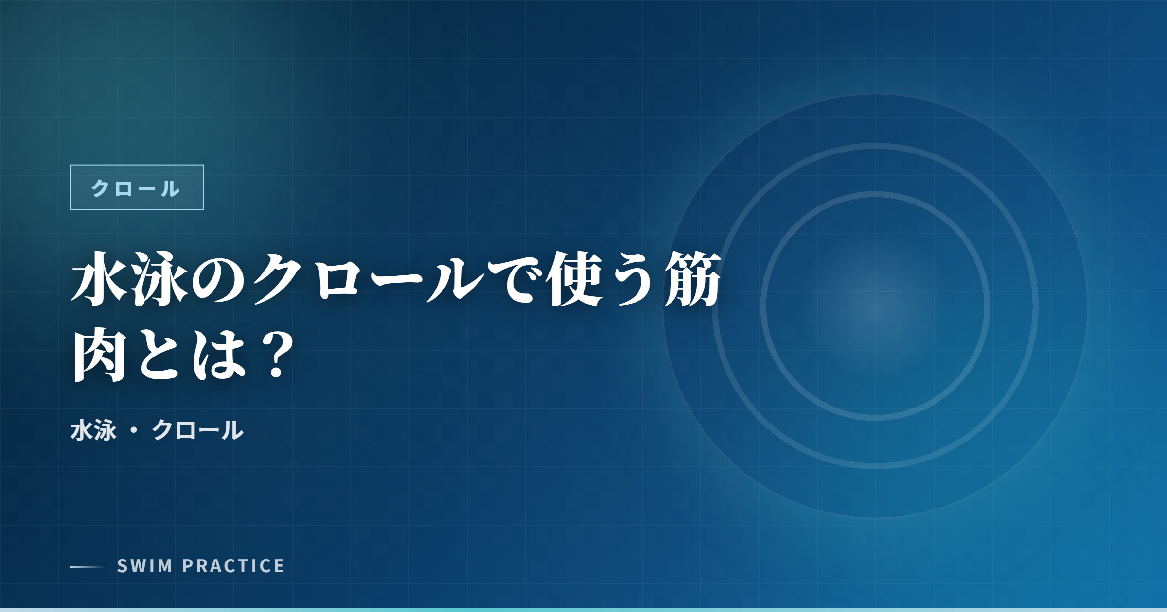 水泳のクロールで使う筋肉とは？