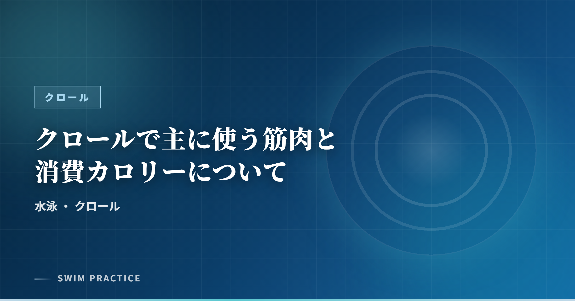 クロールで主に使う筋肉と消費カロリーについて