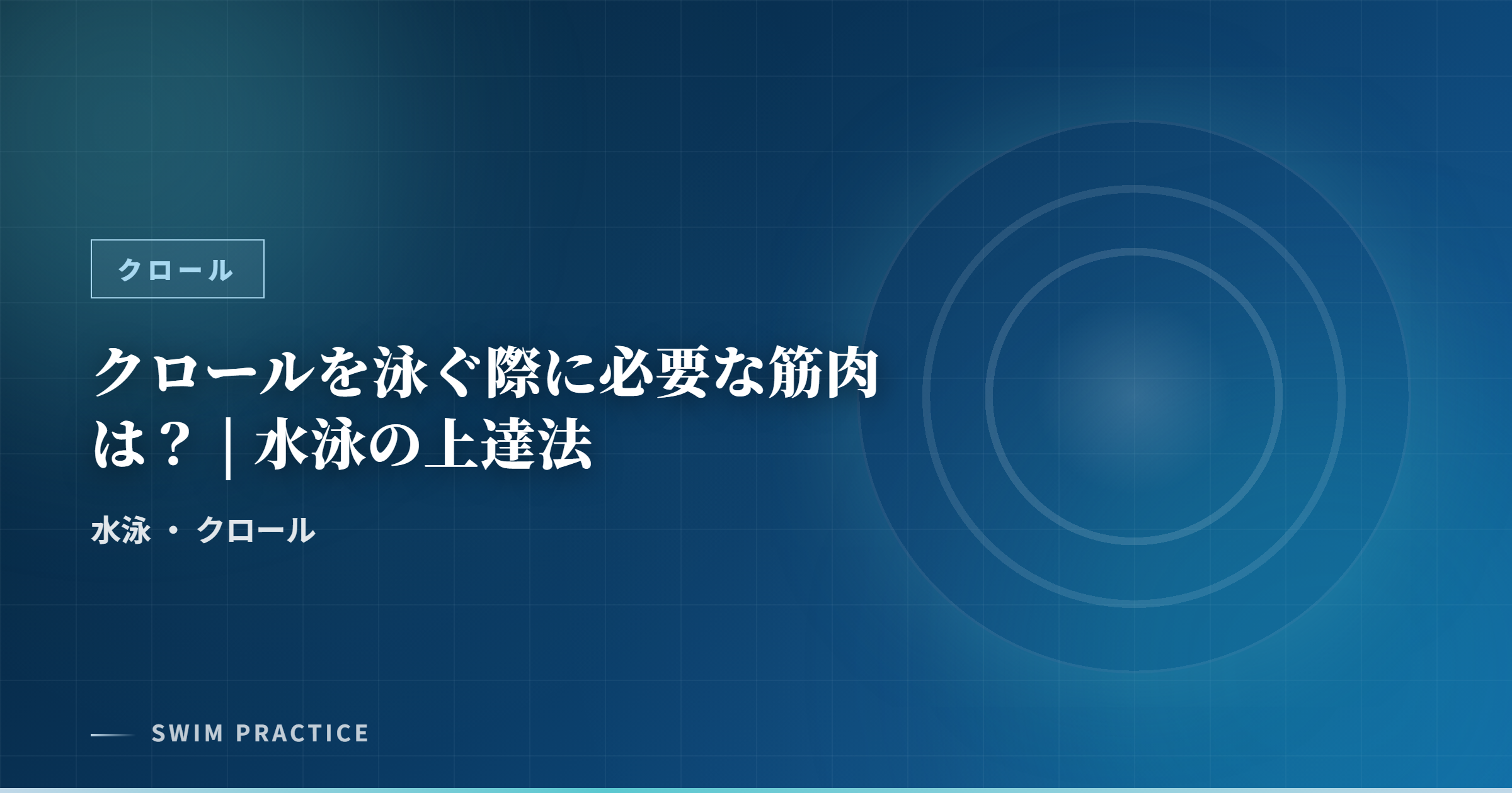 クロールを泳ぐ際に必要な筋肉は？ | 水泳の上達法